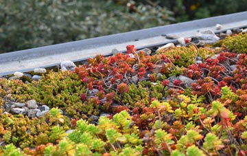 the cost of Stenhill green roof installation