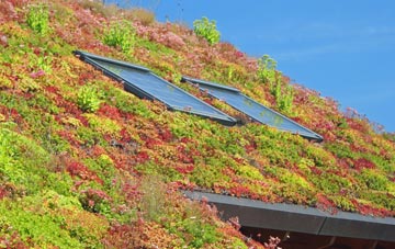 Stenhill living roof systems